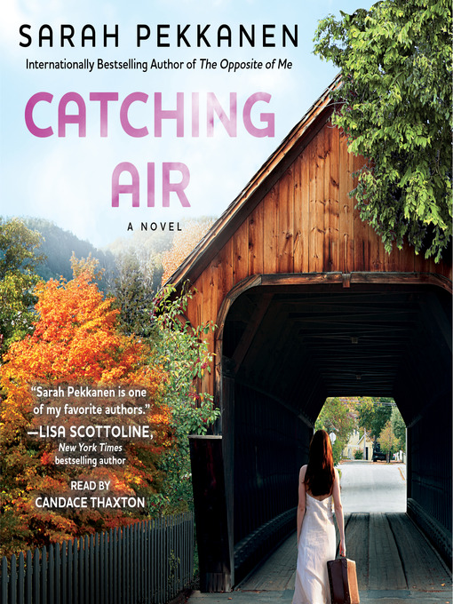 Title details for Catching Air by Sarah Pekkanen - Wait list